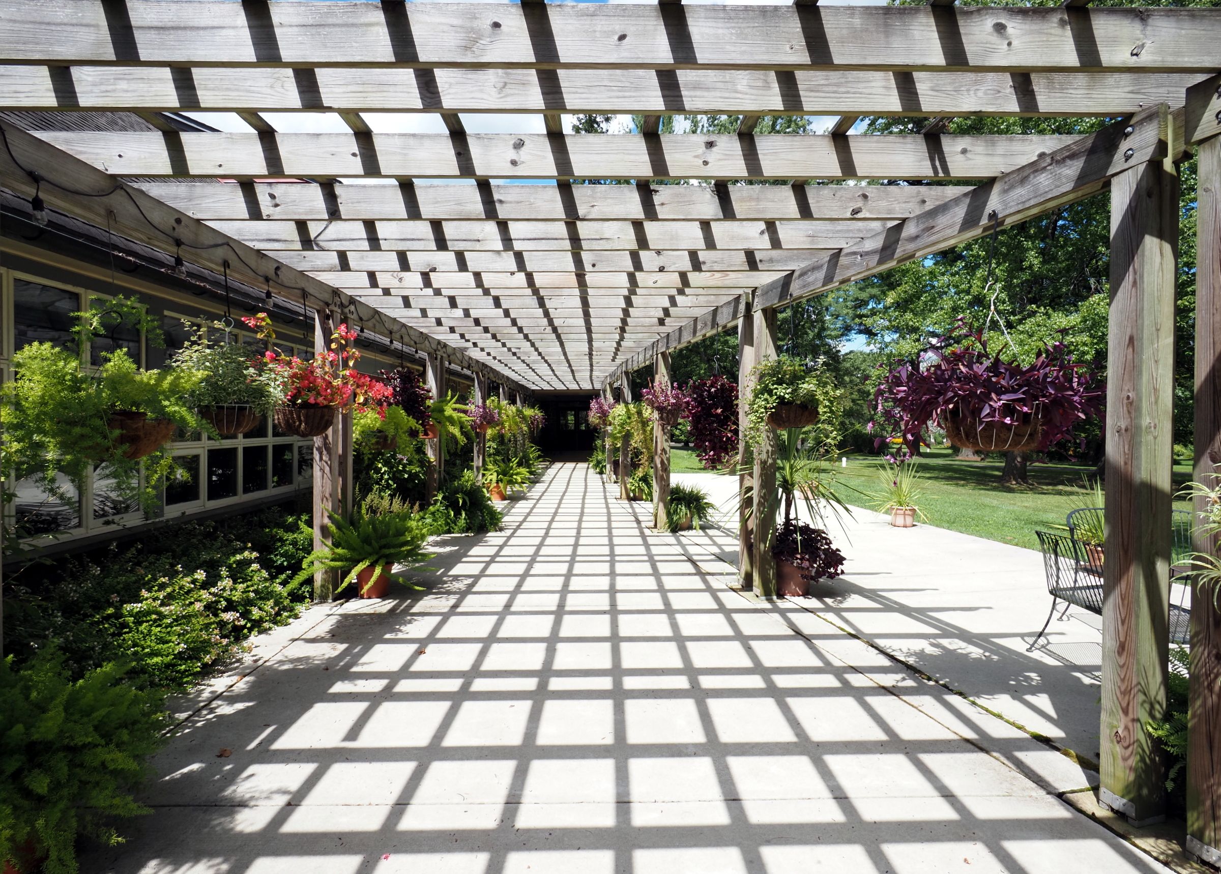 Motorised vs Fixed Pergolas: Which Suits Your UAE Home?