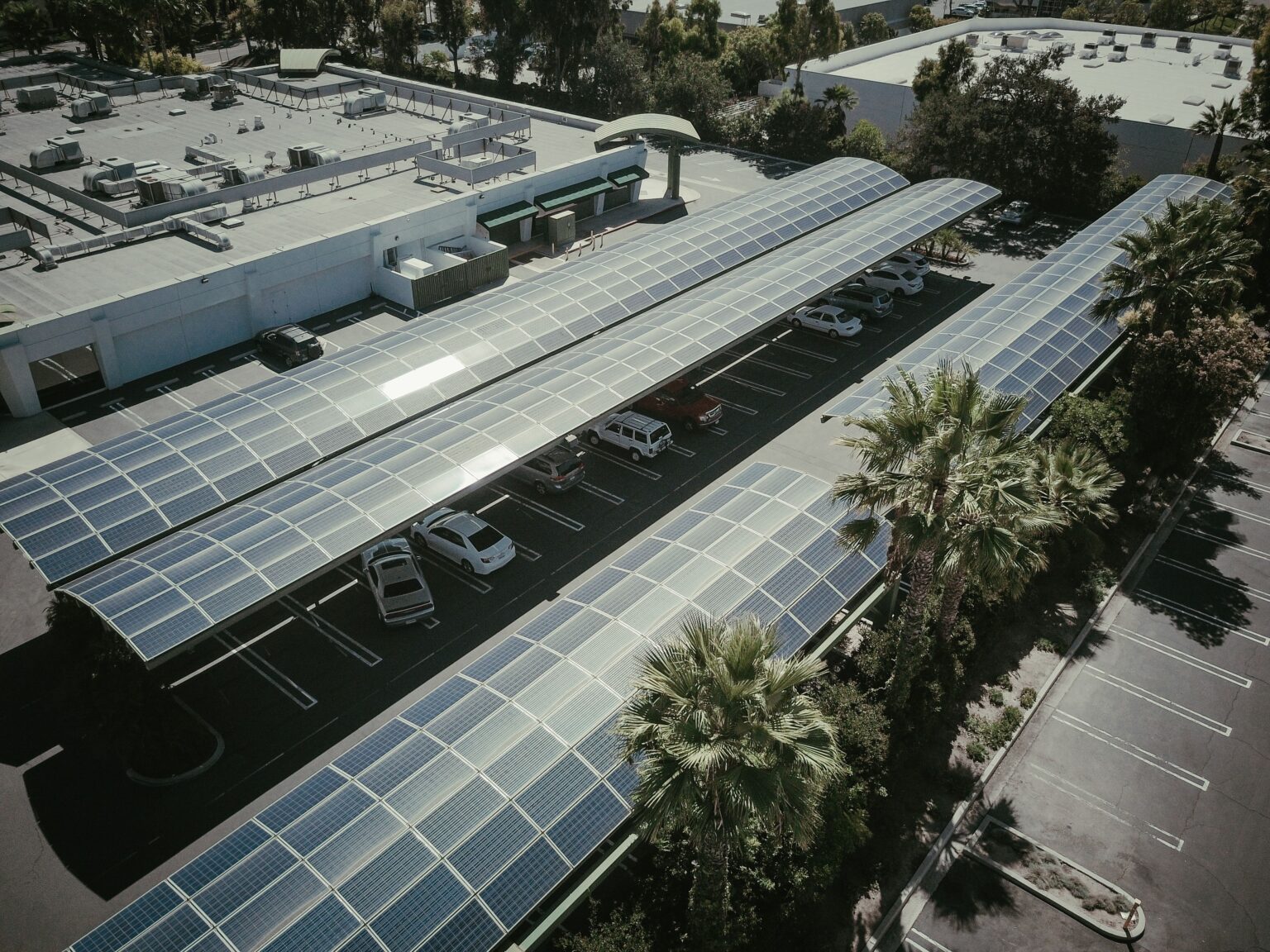 Tensile Sun Shade Structures: Large-Span Solutions for the UAE
