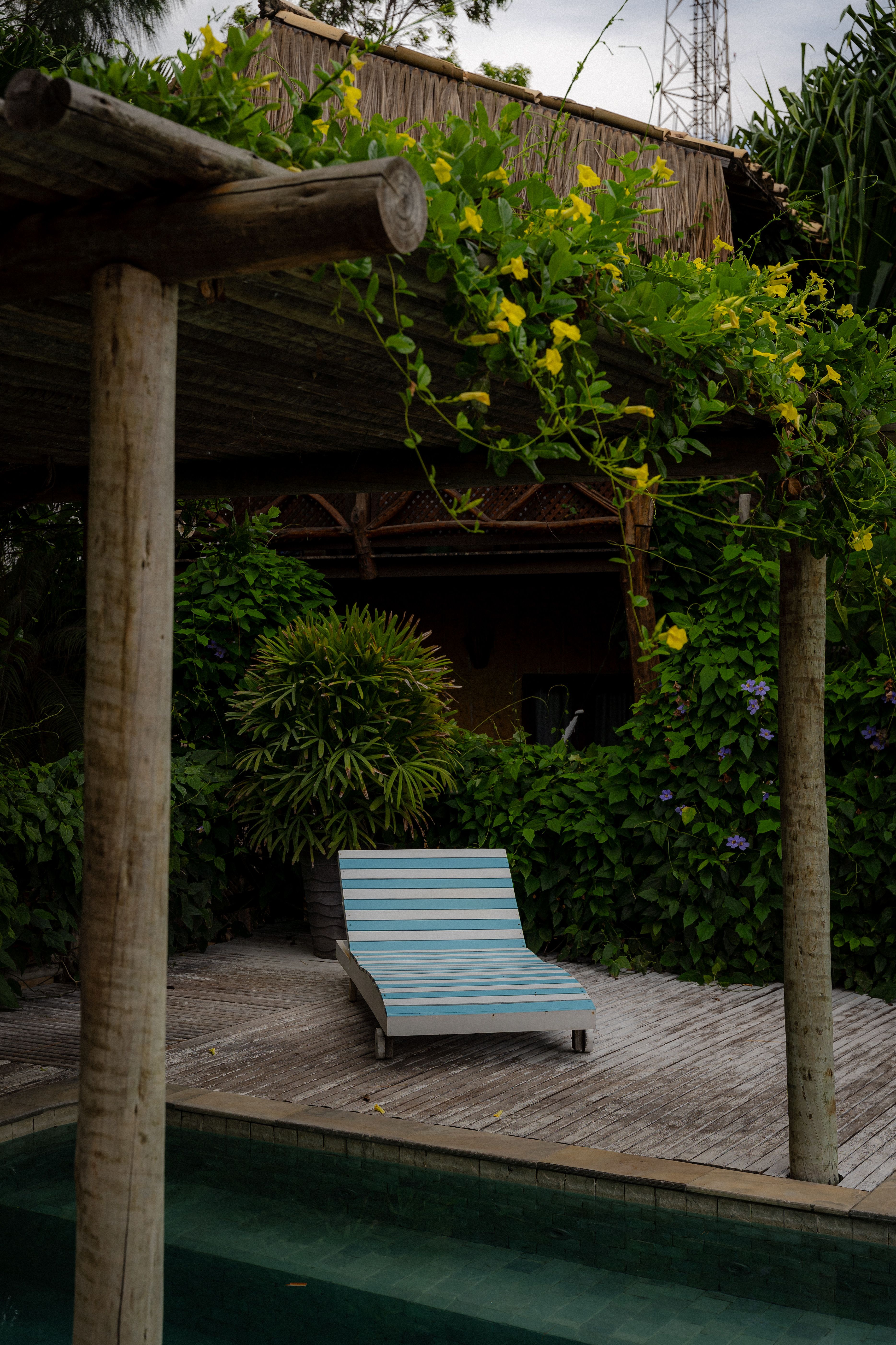 Choosing the Best Shade Solution for Your UAE Swimming Pool